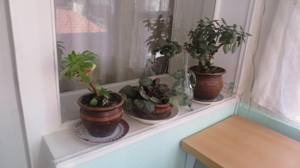 Evrika Apartments On Rustaveli Avenue ティビリシ 部屋 写真